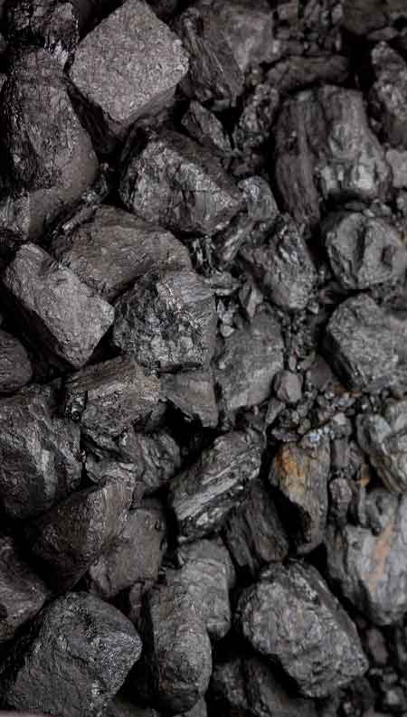 Coalmax Product